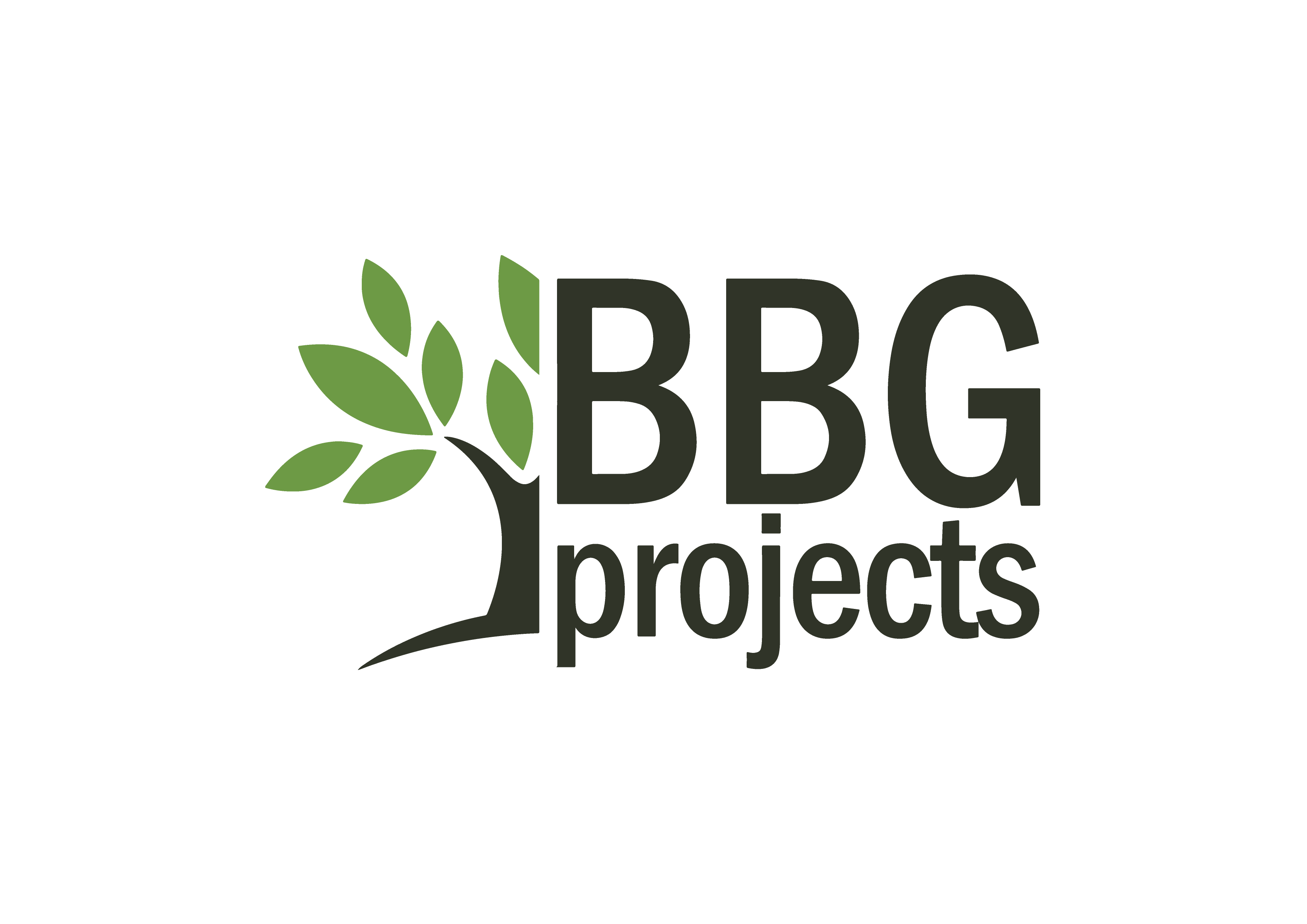 BBG projects