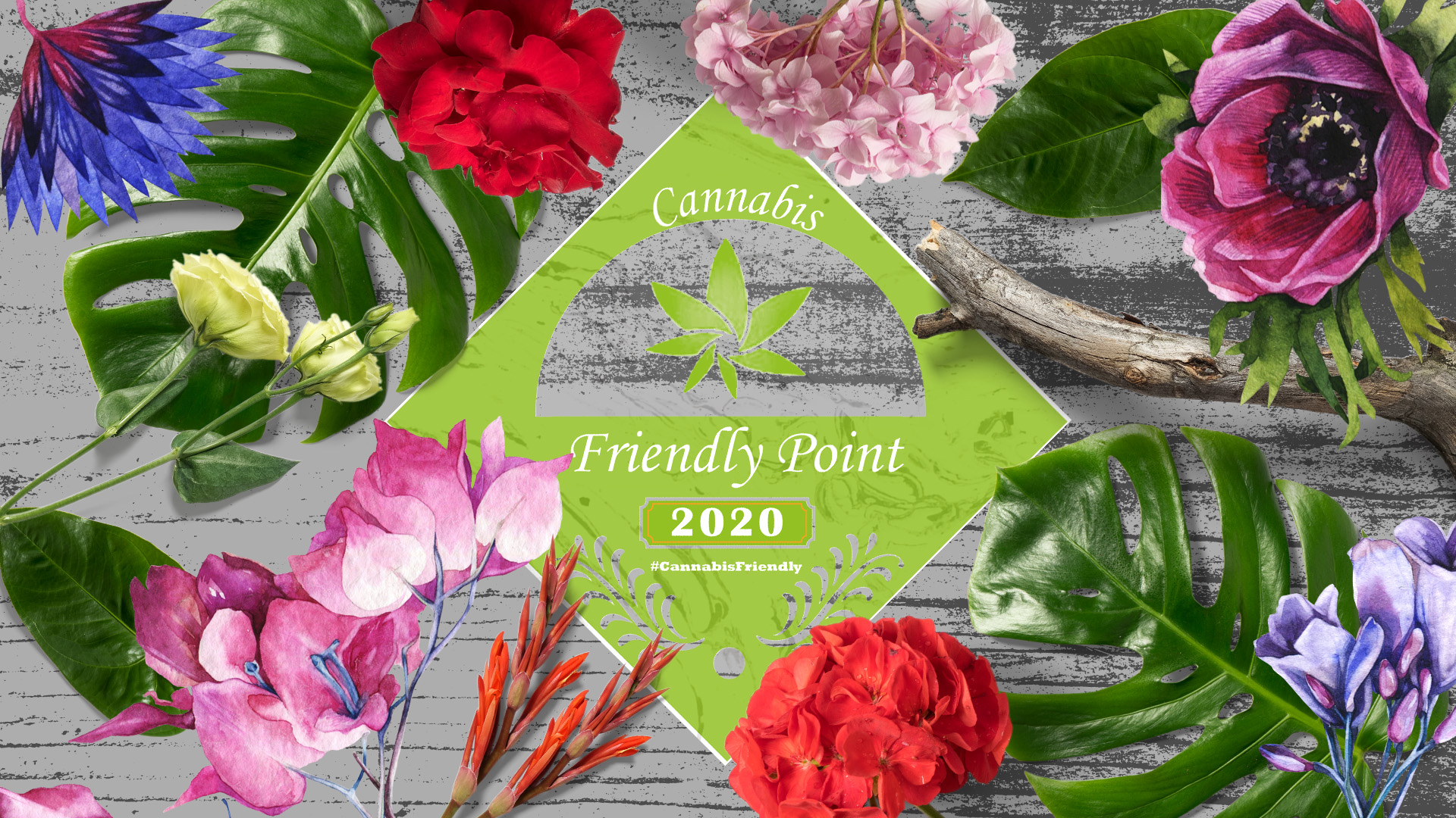 Cannabis Friendly Point