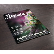 Revista Florbela GalFAC Nº1