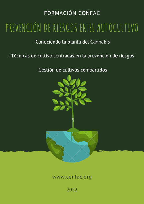 Autocultivo cannabis