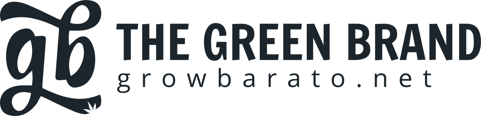 Grow Barato